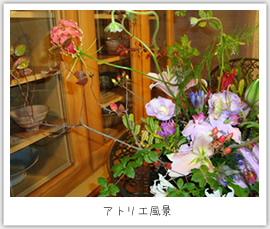 �A�g���G�}�E���B�X��